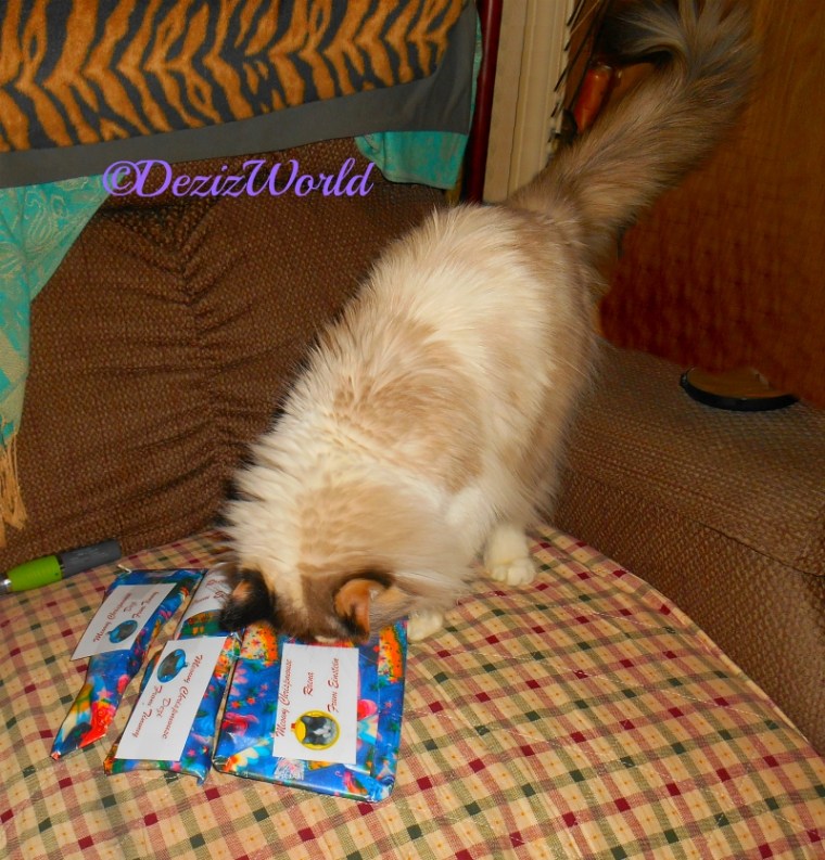 Raena with gifts from Timmy and Einstein