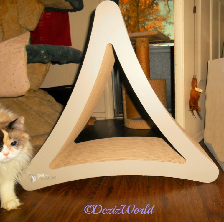 Raena walks past the PetFusionCat Scratcher