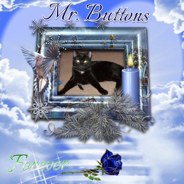 Buttons in a forever memoty frame