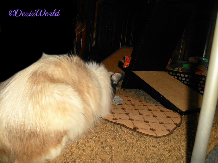 Raena eats with her back to the camera