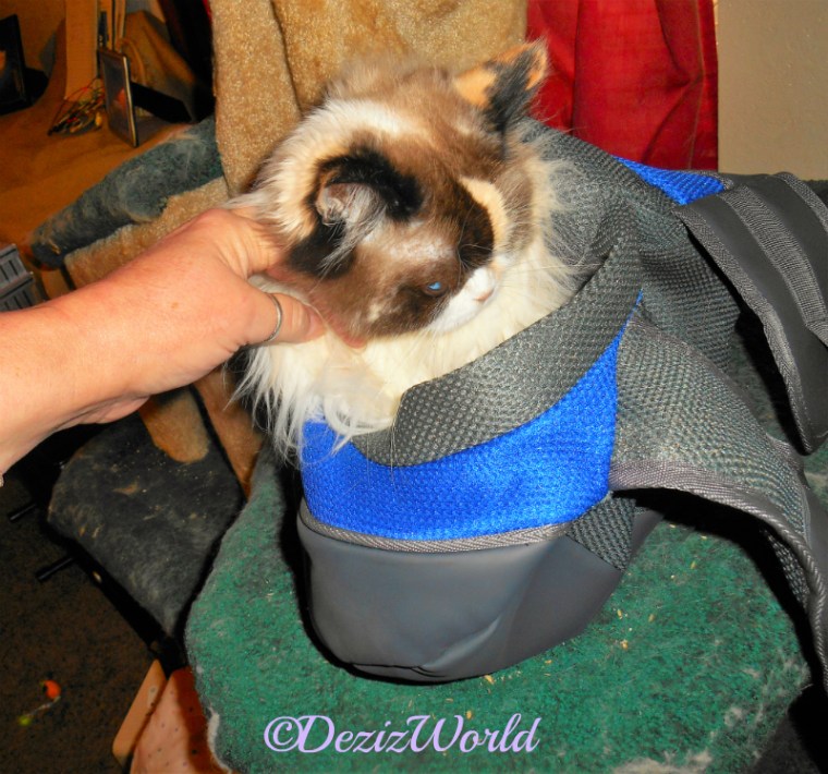 Raena models the new sling carrier