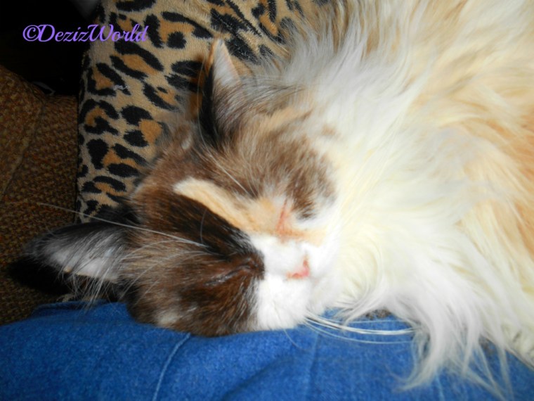 Raena's sleeping face while laying in mommy A's lap