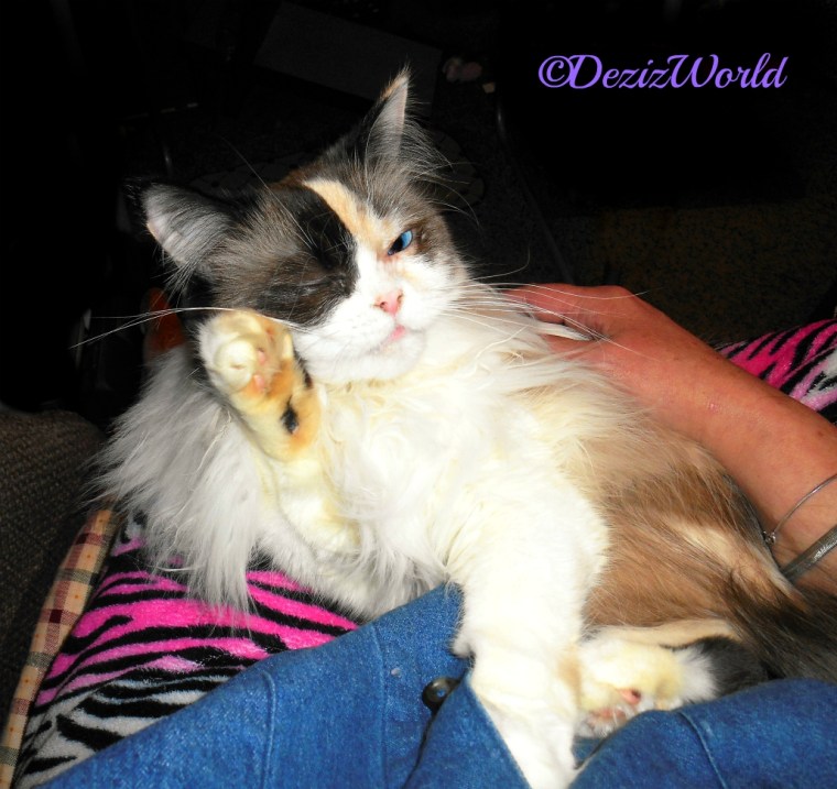 Raena reaches out while laying in mommy's lap