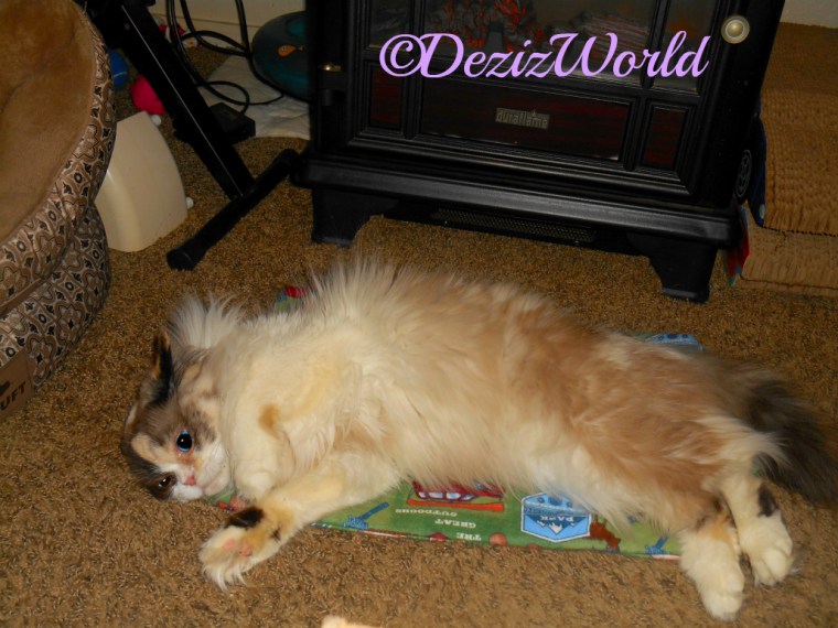 Raena rolls around on new nip mat from Ellen