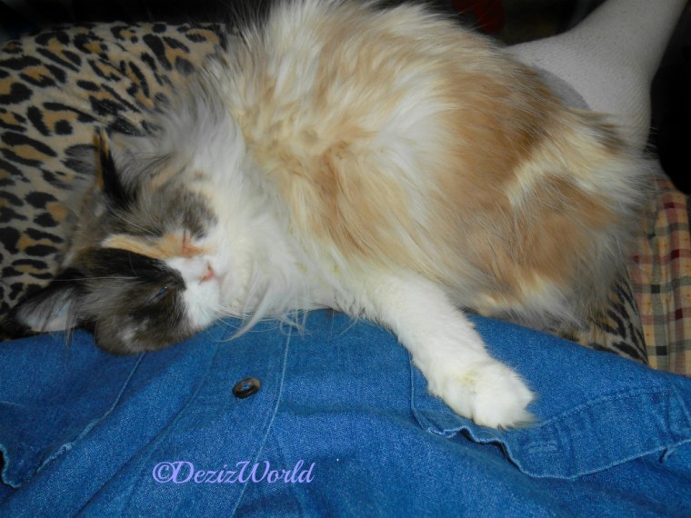 Raena lays sleeping in mommy A's lap