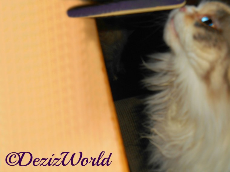 Raena sniffs nail file, selfie