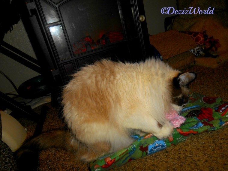 Raena plays with toys from Ellen