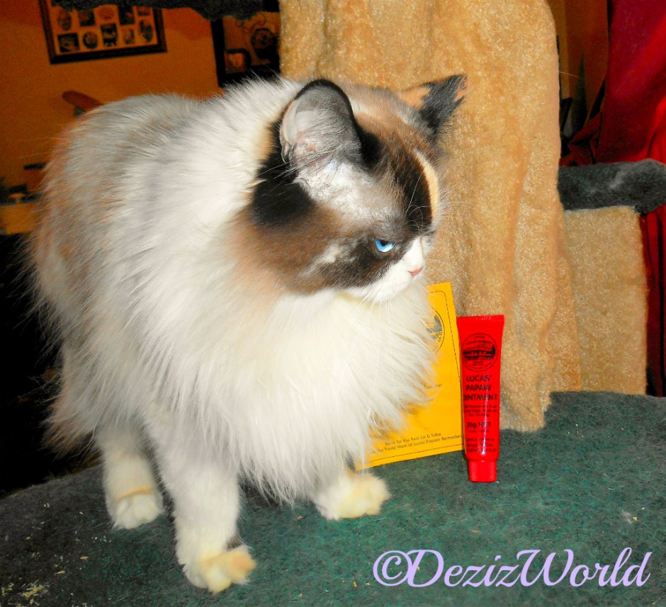 Raena poses with the Lucas' PawPaw Oint,ment