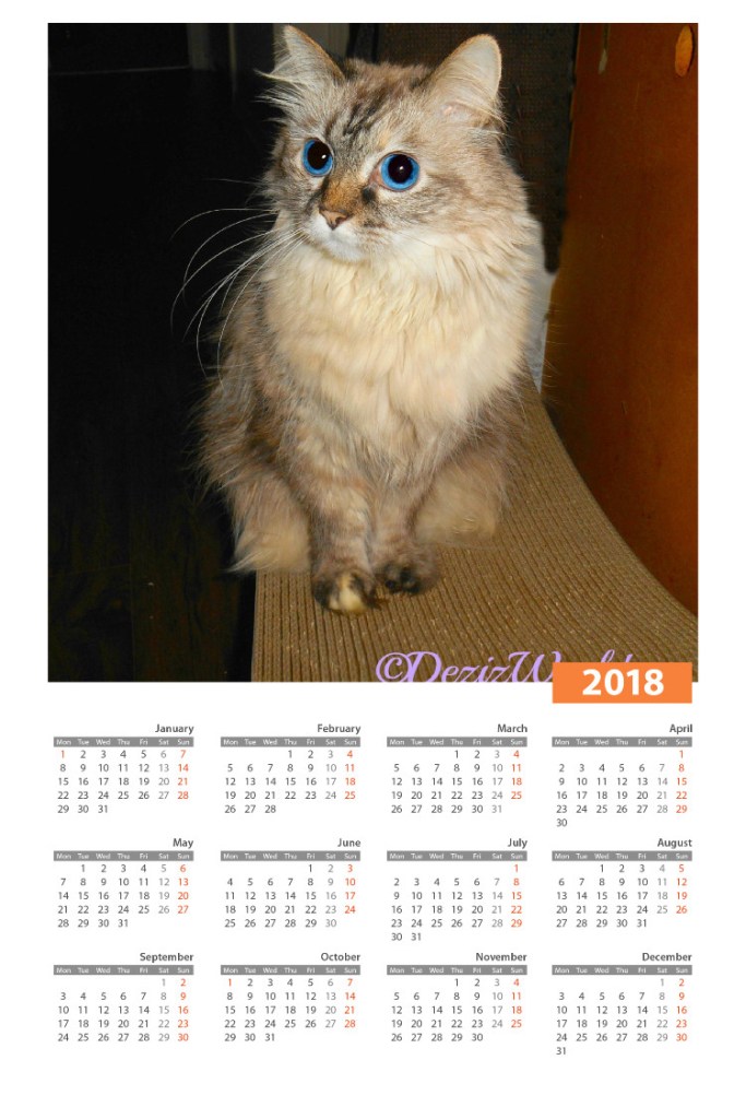Dezi in 2018 calendar