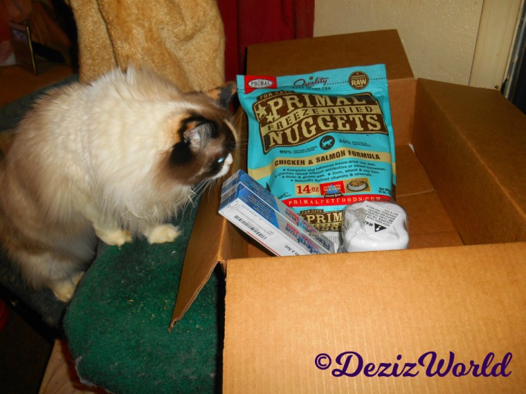 Raena checks out the gift box from awnty Carol with food and denture supplies