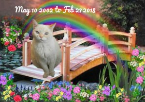 Kali at the bridge badge