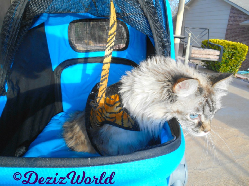 Dezi rests her head over the edge of the stroller while outside