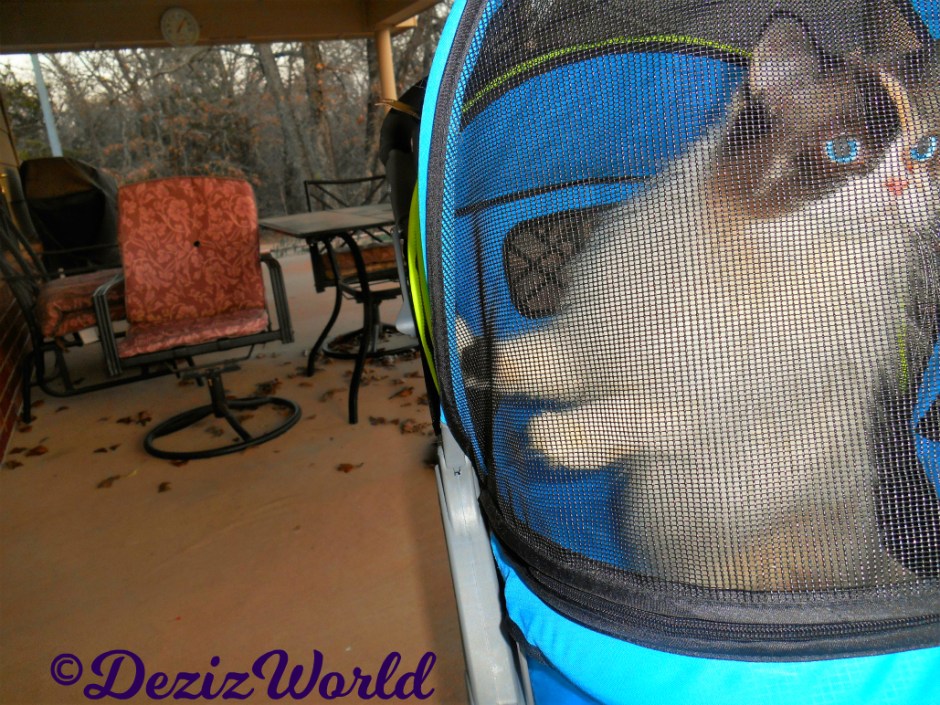 Raena stands up in stroller to look around while outside