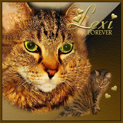Lexi forever badge from Ann