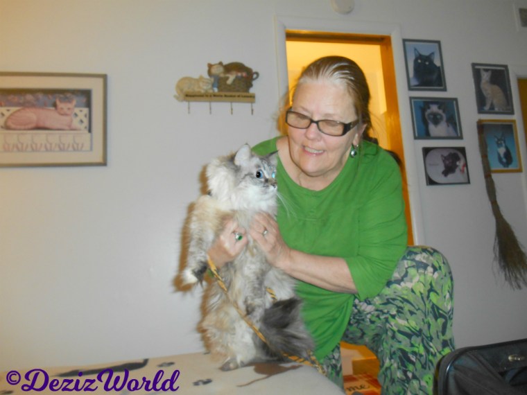 Dezi poses with awnty Nora at the Cat Motel