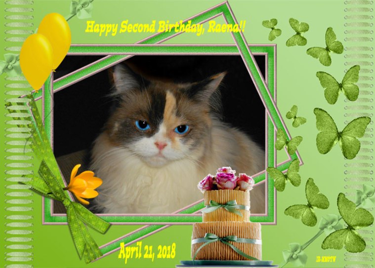 Happy birthday card to Raena from Pipo and Dalton