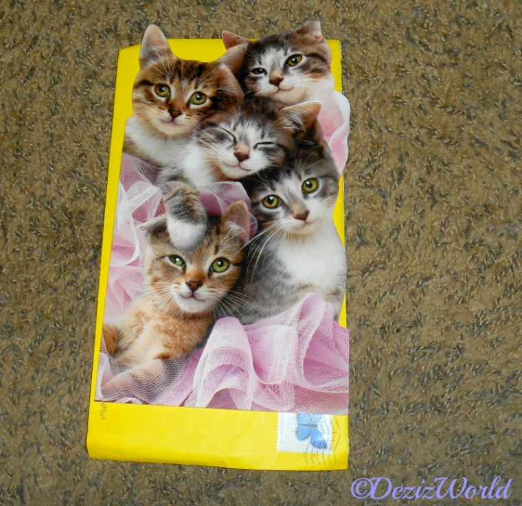 Birthday card from Ingrid, Pipo and Dalton