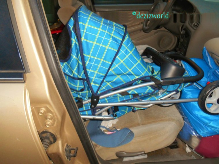Dezi and Lexi inside stroller in the front seat of the car.