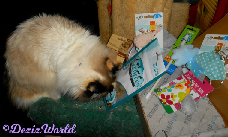 Raena sniffs the Pure Bites minnow treats