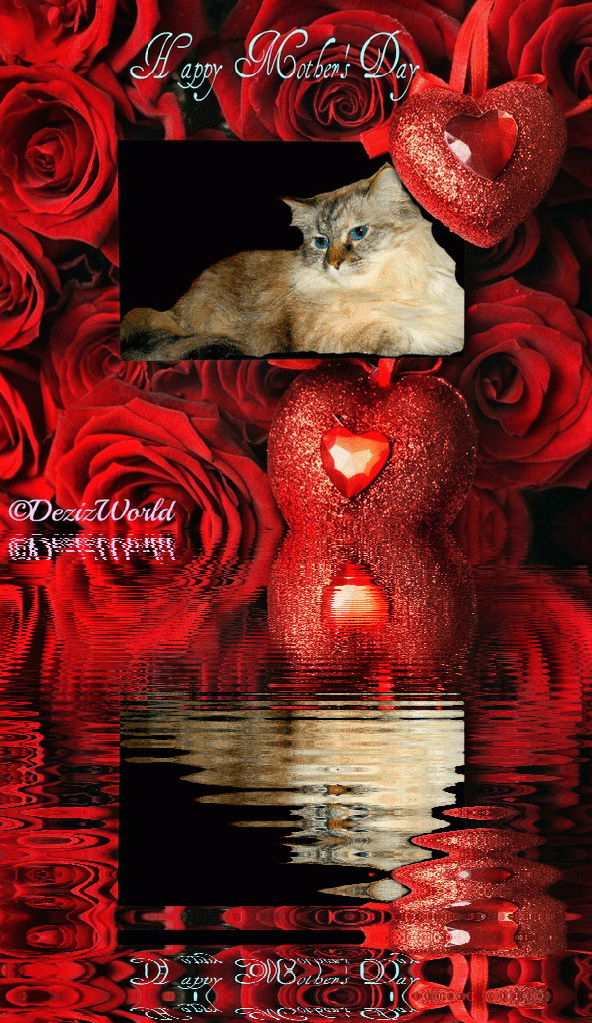 Dezi lays in a red roses reflecting frame with Mother's day wishes