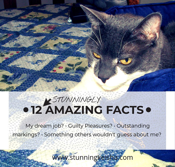 12 Amazing Facts badge