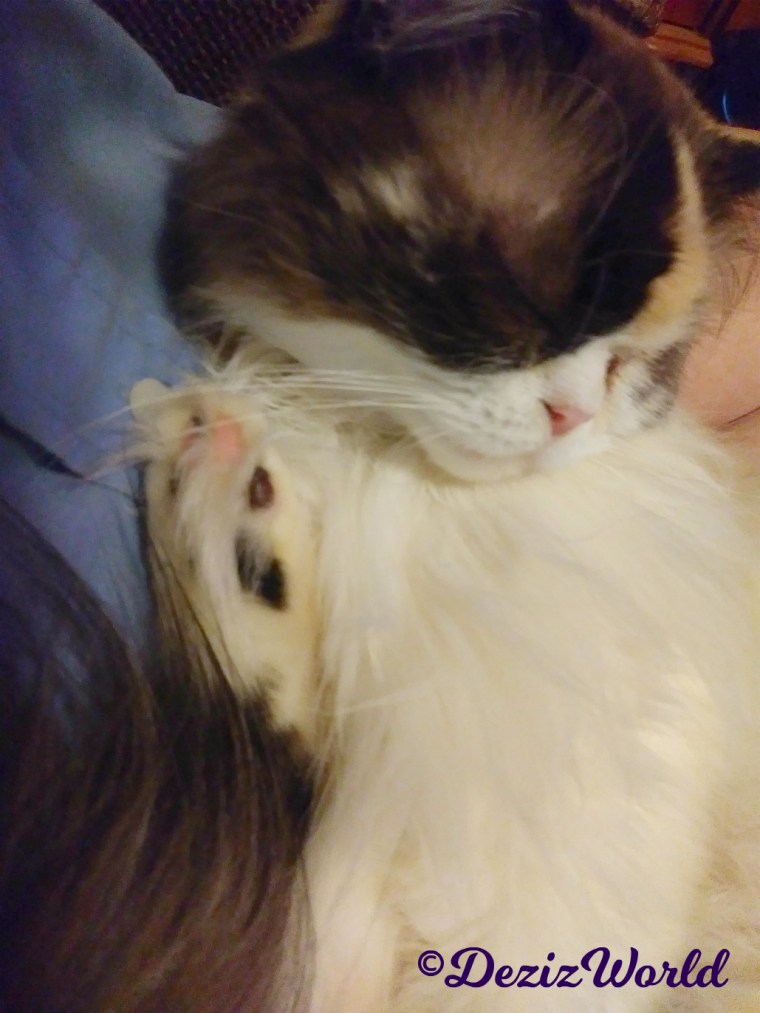 Raena lays sleeping on mommy's lap