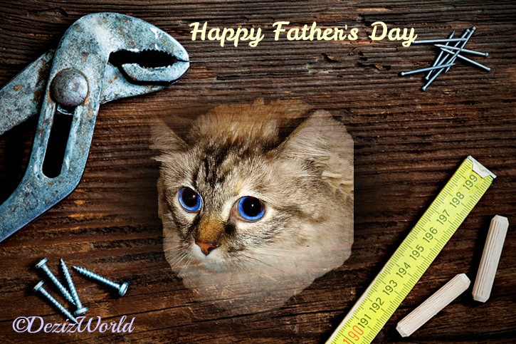 Dezi in a wood plank frame with tools for Father's day