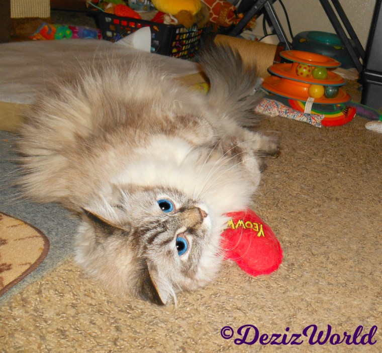 Dezi rolls on yeowww nip heart