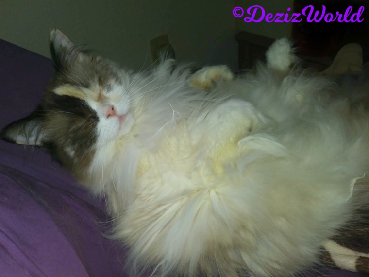 Raena lays on the bed next to mommy A sleeping