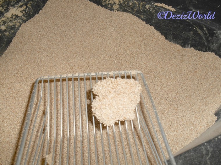 SwheatScoop liquid clump on sccop