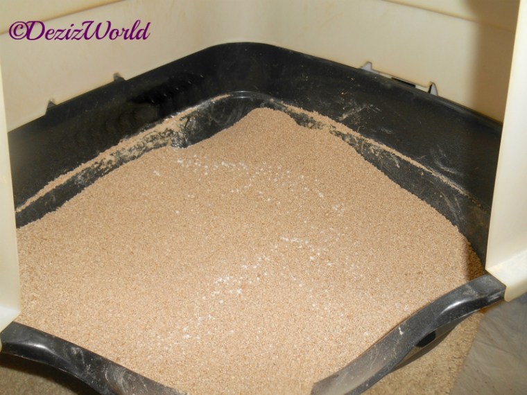 sWheatScoop Cat Litter inside a corner litterbox