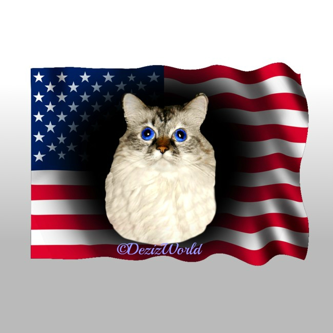 Dezi in the middle of the American flag frame