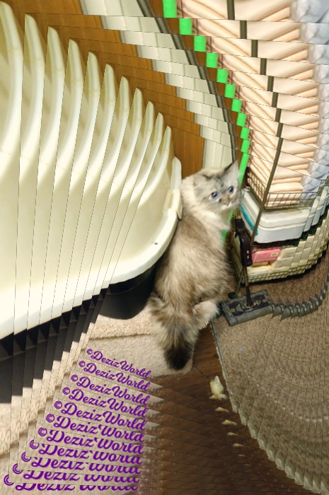 Dezi sits on box in bathrrom in recurrsion frame