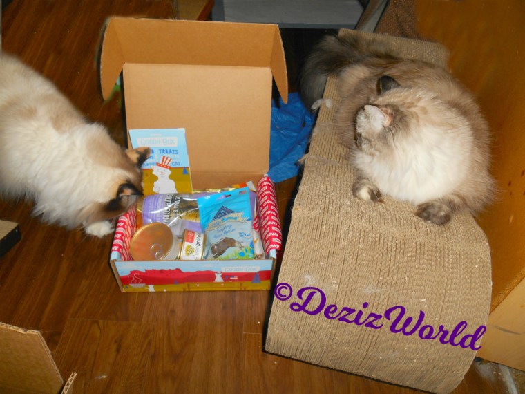Dezi and Raena check out the Made in the USA goody box from Chewy