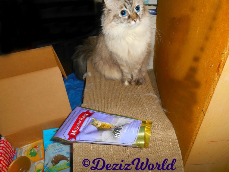 Dezi poses with the Missing Link