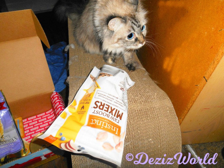 Dezi sits with Instinct Mixers