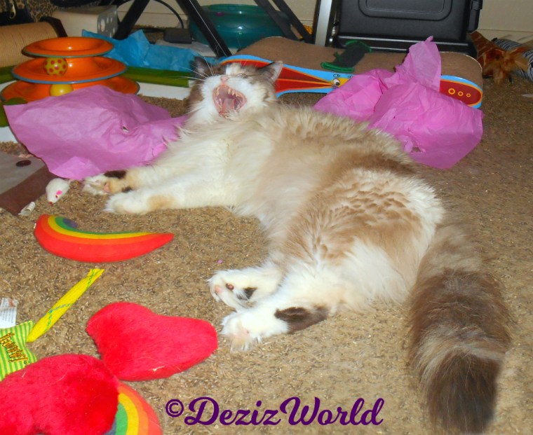 Raena lays on the floor with her mouth wide open