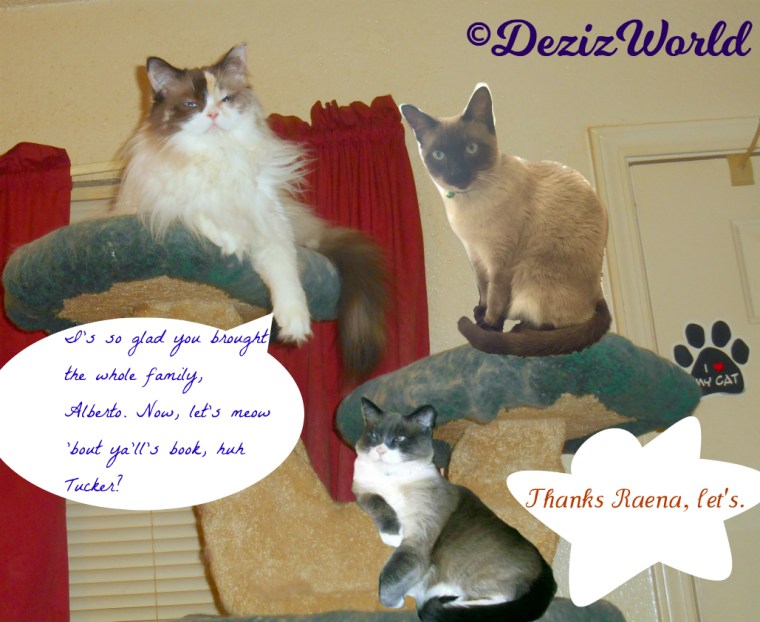 Raena, Alberto and Tucker lay atop the liberty cat tree