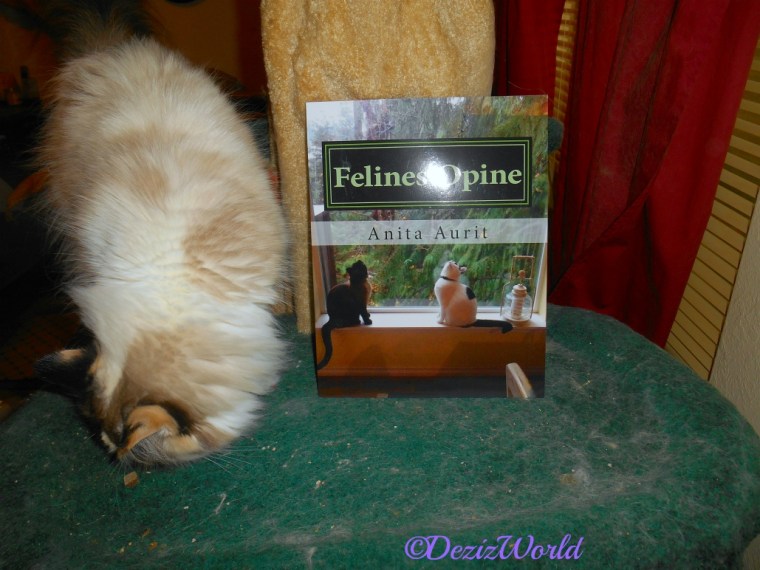 Raena on cat tree with Felines Opine book