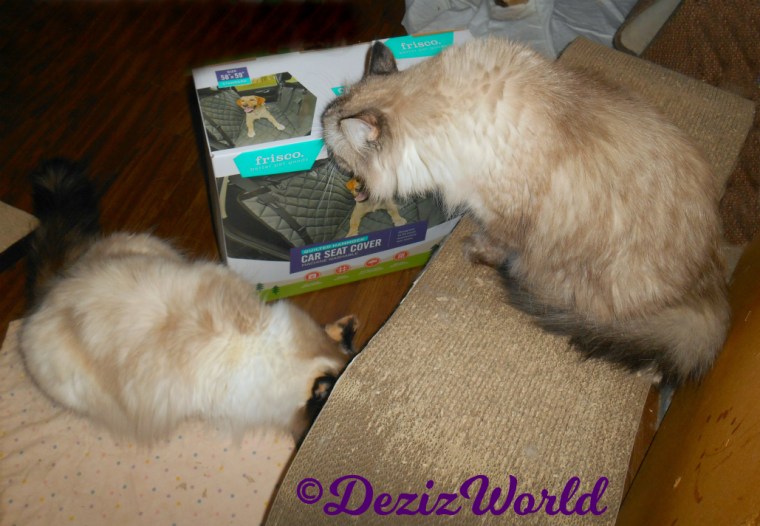 Dezi and Raena with the Frisco Car Seat Cover