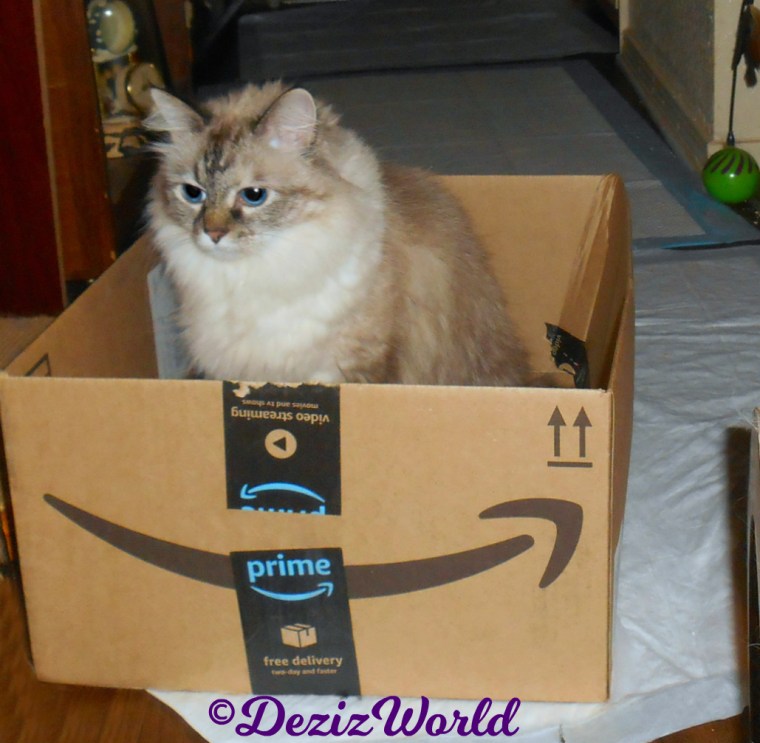 Dezi sits in amazon box