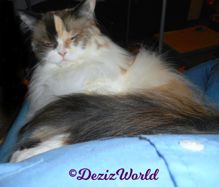 Raena sleeps in mommy's lap