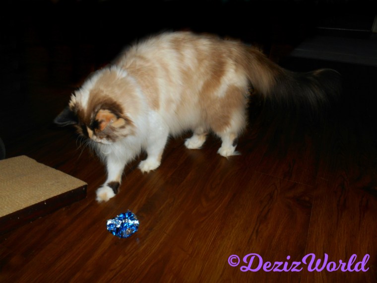 Raena plays with crinkle ball