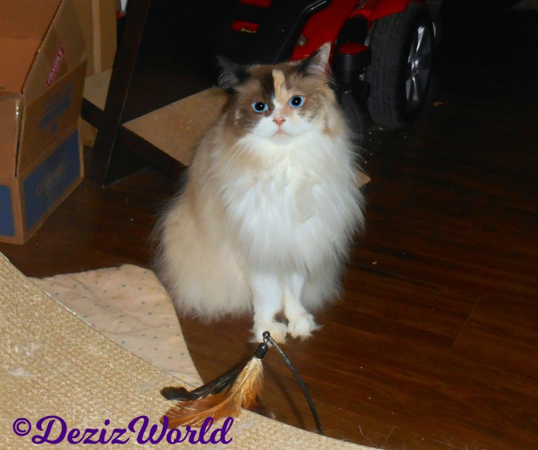 Raena sits pretty for the camera