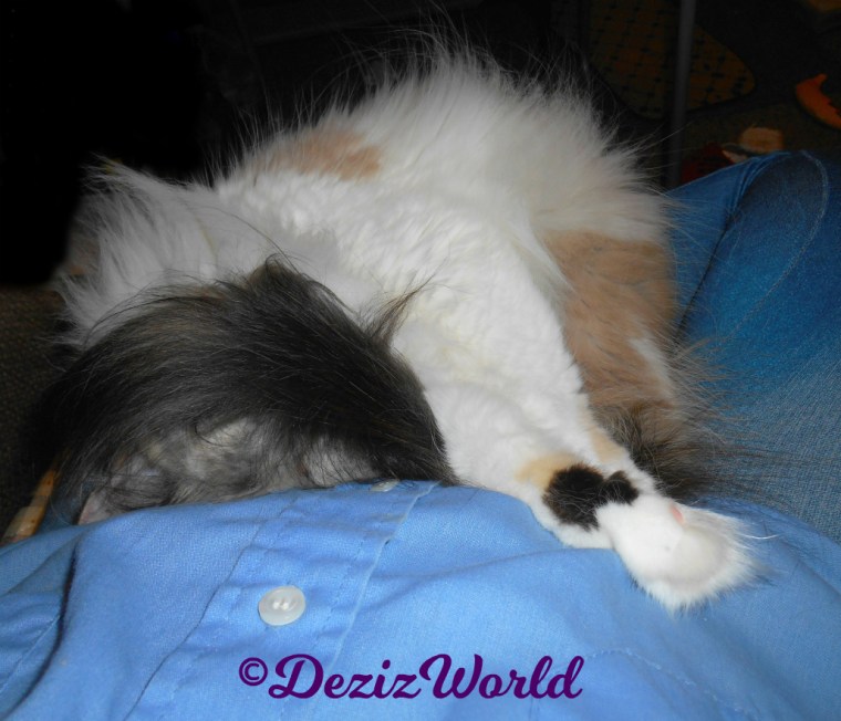 Raena naps all curled up in mommy's lap