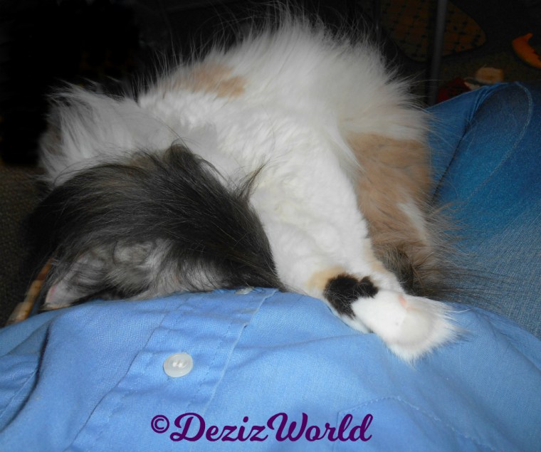 Raena sleeps in mommy's lap