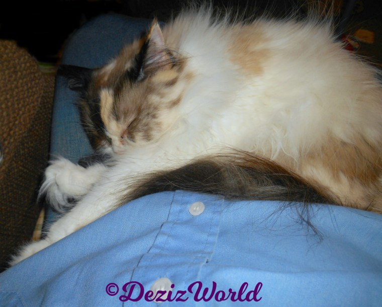 Raena sleeps in mommy's lap