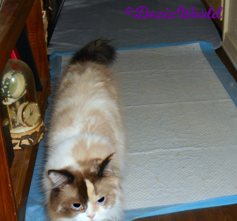 Raena walks down hall towards camera Blooper