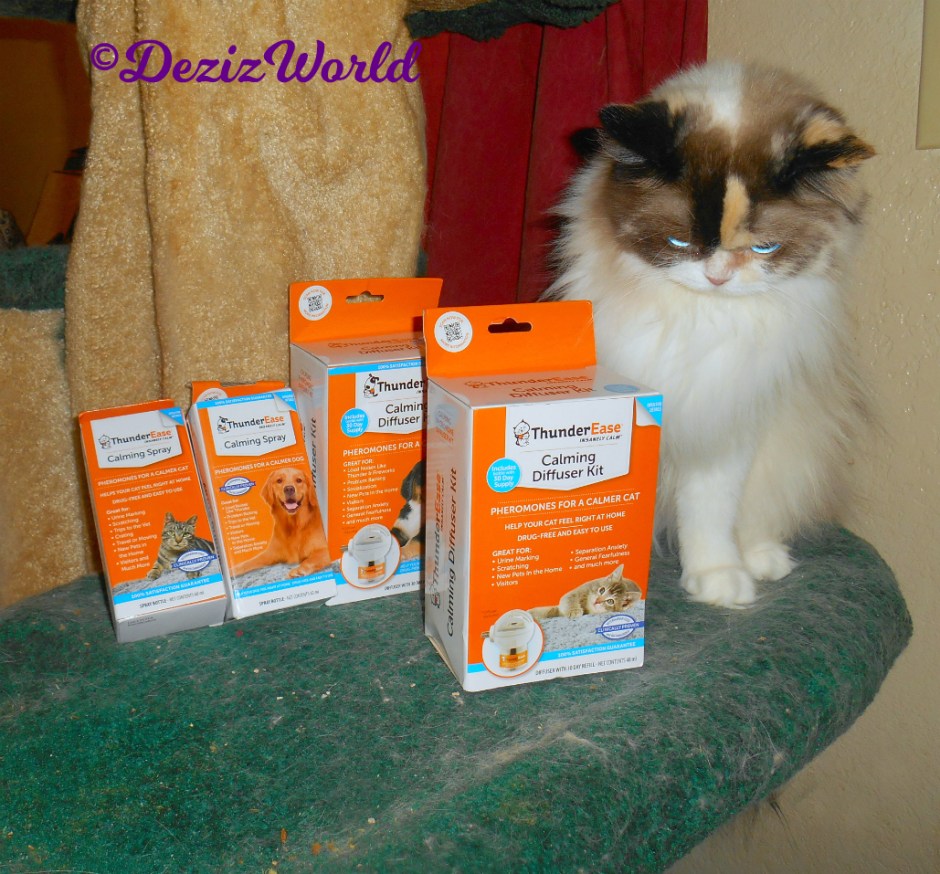 Raena poses with the ThundrEase Calming products