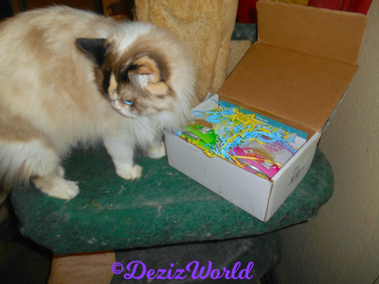 Raena poses with Weruva slide n serve food 